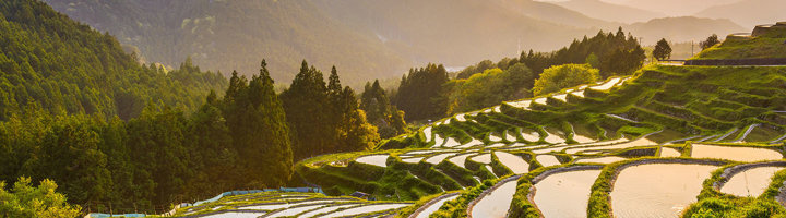 Rijstterrassen in de bergen van Japan bij zonsondergang.