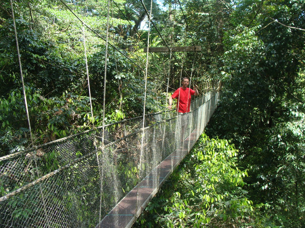 Man op hangbrug door het regenwoud tijdens rondreis Maleisisch Borneo Hoogtepunten.