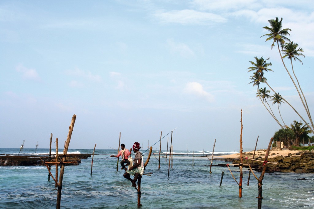 Steltvissers op houten palen in zee bij de kust van Sri Lanka, met palmbomen op de achtergrond.