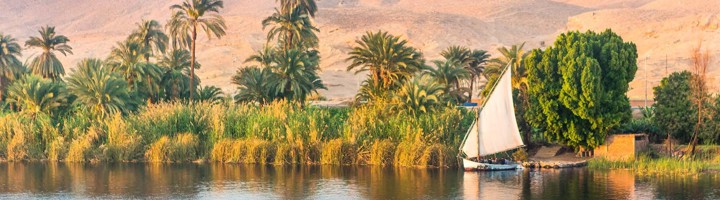 Felucca op de Nijl tussen palmbomen en rietvelden tijdens een familiereis in Egypte.