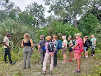 Reizigers luisteren naar een gids tijdens een safariwandeling door de groene bush op de route Victoria Falls - Kaapstad.