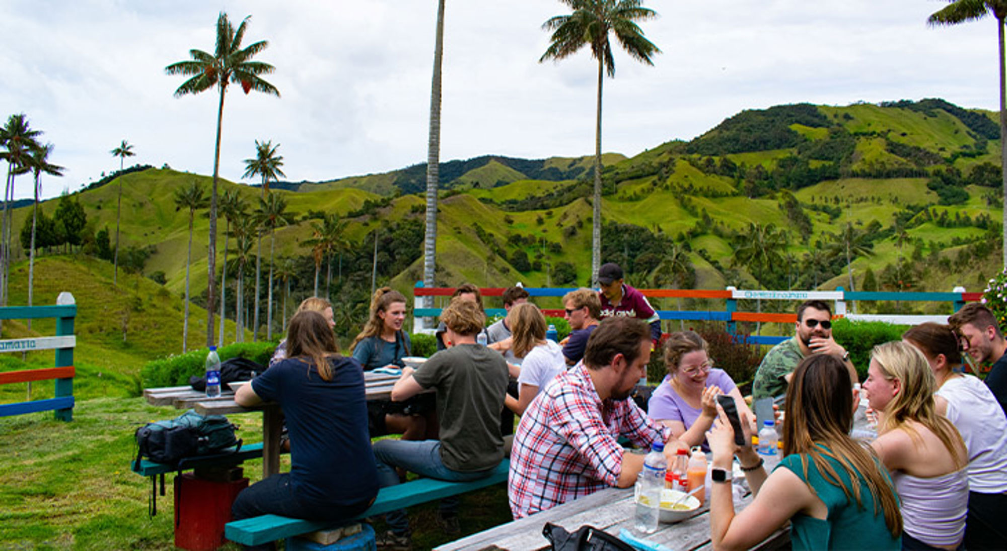 Reizigers lunchen aan picknicktafels met uitzicht op groene heuvels en palmbomen.