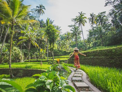 Wandelpad langs groene rijstterrassen met palmbomen op Bali tijdens de route Java en Bali.