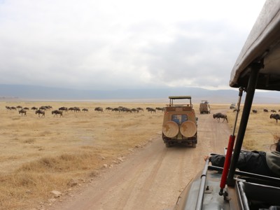 Safari-jeeps rijden door de savanne langs een kudde gnoes, route Kenia, Tanzania en Zanzibar.