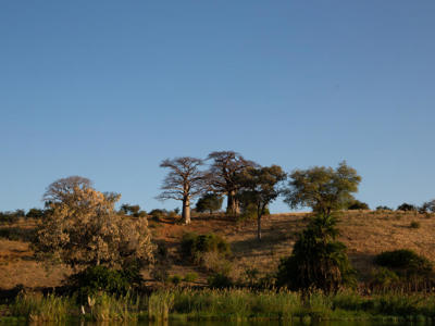 Kayova River Lodge