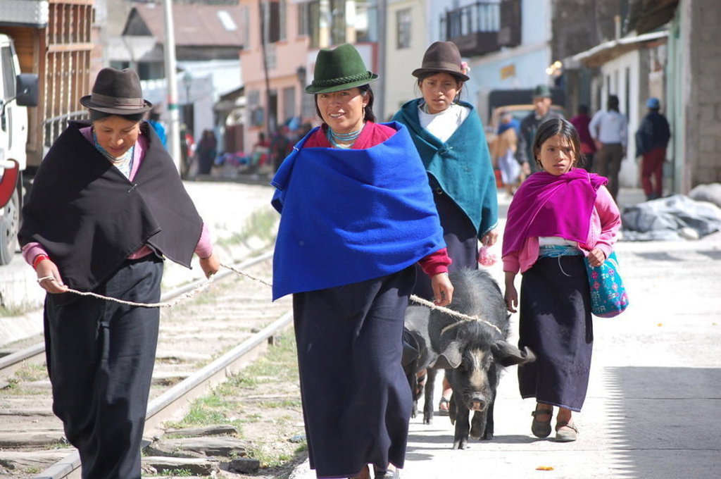 Vrouwen en meisje in traditionele kleding lopen met een varken door een straat in Ecuador.