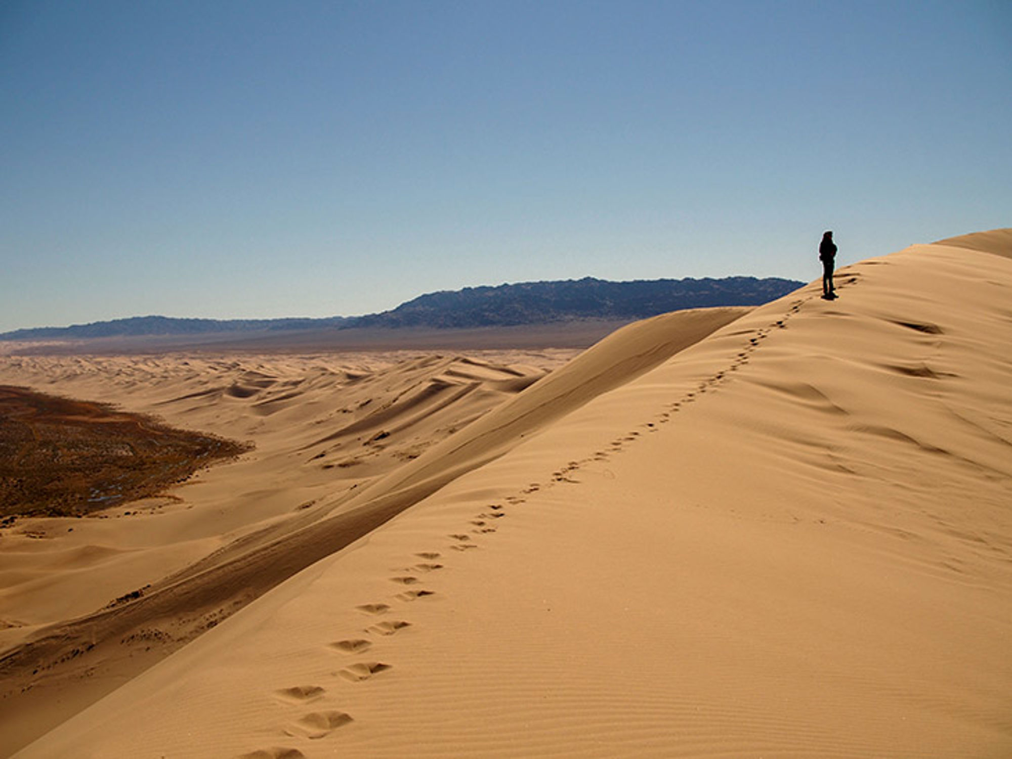 Desolaat landschap in Mongolië Wandelaar op hoge zandduin met voetstappen, met woestijnlandschap en bergen op de achtergrond.