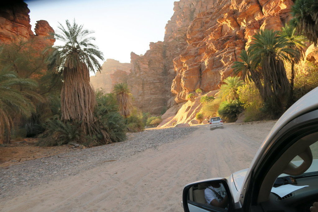 4x4 rijdt door een groene oase tussen rode rotswanden in Saoedi-Arabië.