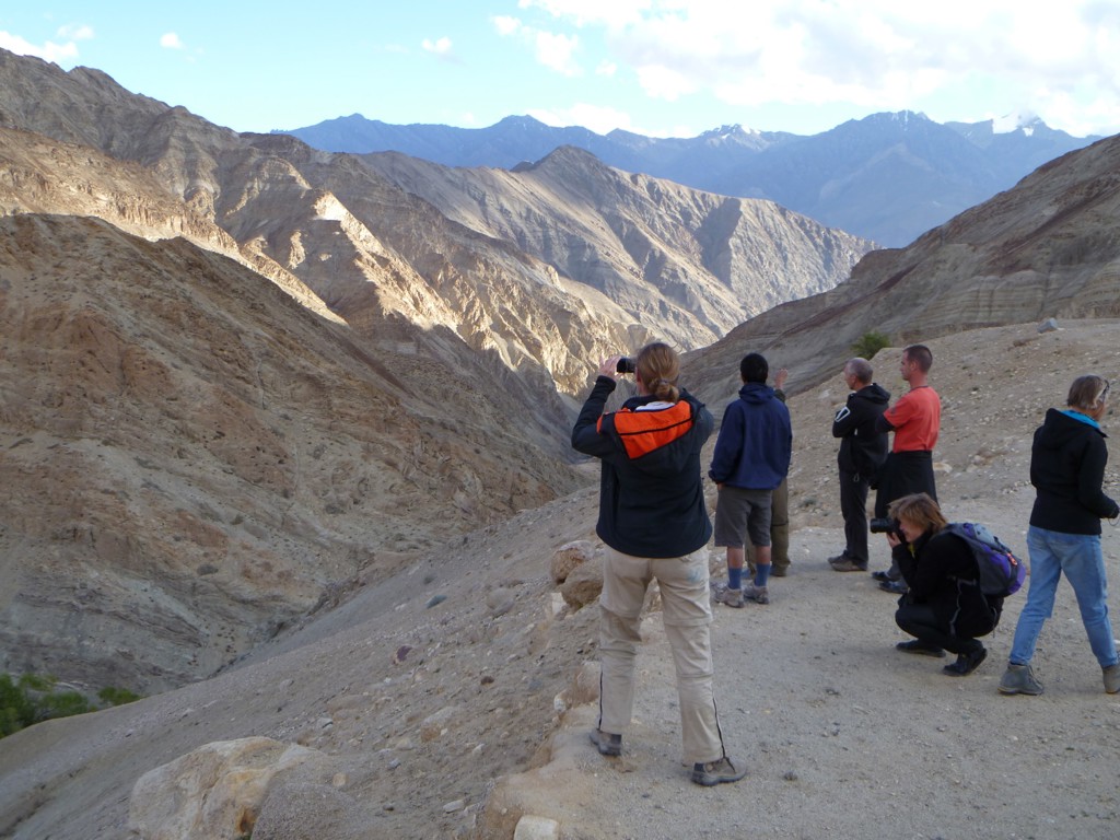 Wandelaars kijken uit over het berglandschap van Ladakh tijdens een groepsrondreis India Spiti & Ladakh.