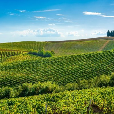 Fietsvakantie in Toscane langs glooiende heuvels en cipressen.