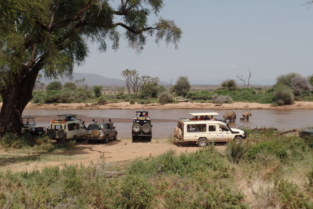 Safari-jeeps bij een rivier met olifanten tijdens groepsrondreis Kenia en Tanzania Totaal.