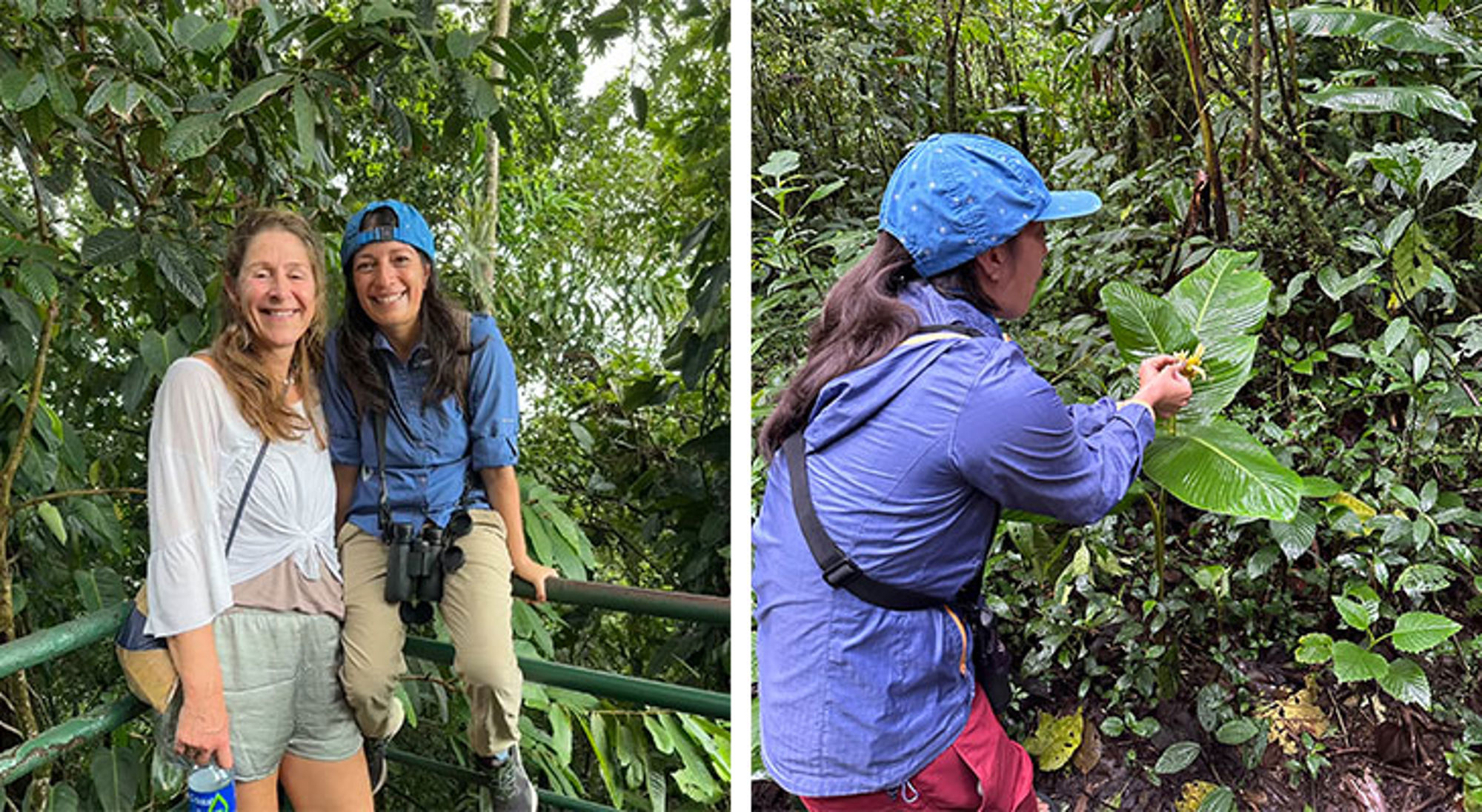 Lokale reisbegeleider Costa Rica Twee reizigers in het regenwoud; één poseert, de ander bekijkt een tropische plant tijdens een wandeling.