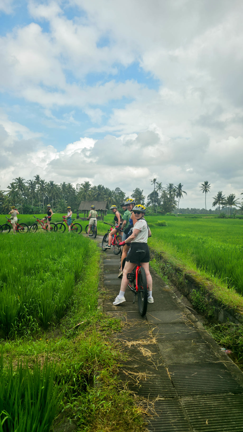 Groep 22-35ers fietst door rijstvelden op Bali tijdens rondreis Indonesië Java en Bali.