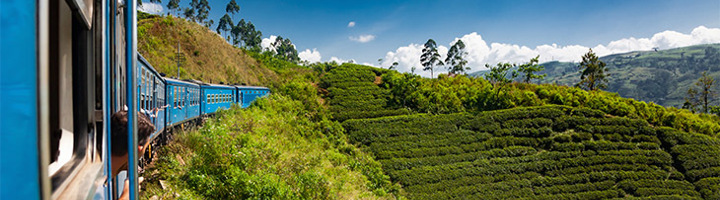 Blauwe treinreis door de groene theeplantages van Sri Lanka.