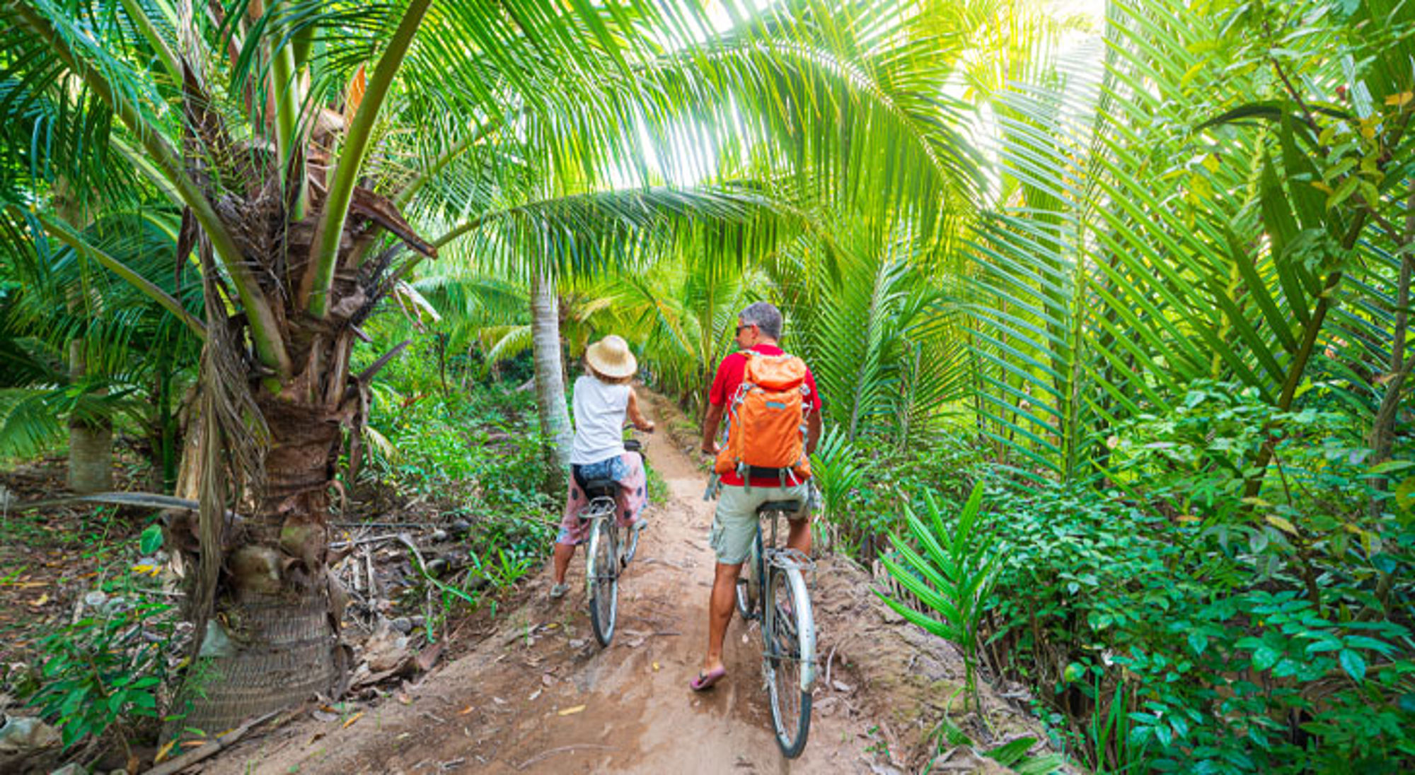 Mekong Delta Ben Tre Fietstocht door een tropische palmbossenroute in Vietnam.