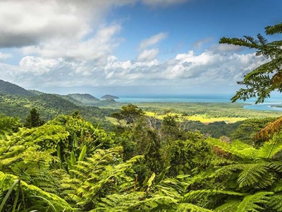 Uitzicht over het regenwoud van de Daintree en de kustlijn bij Cape Tribulation in Australië.