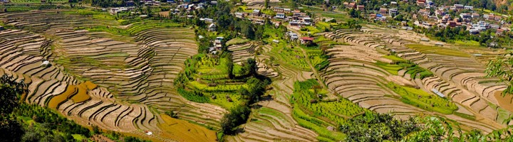 Groene rijstterrassen en dorpje in de heuvels van de Kathmandu Valley, Nepal.