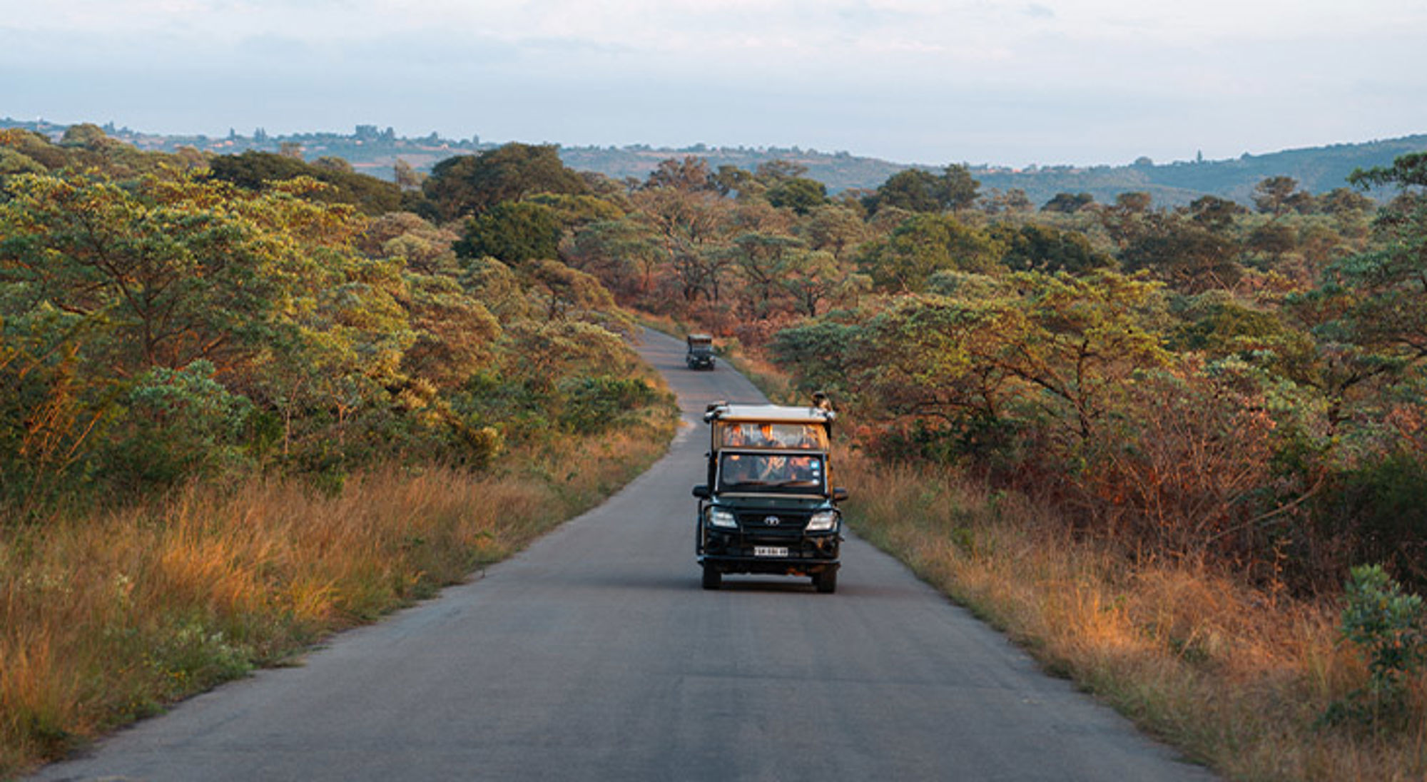 Safari in Zuid-Afrika Safari-jeep op een asfaltweg door savannelandschap met bomen en heuvels op de achtergrond.