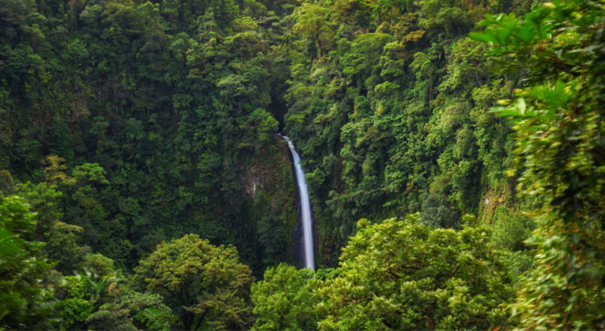 La Fortuna waterval Waterval in het groene regenwoud van Costa Rica.