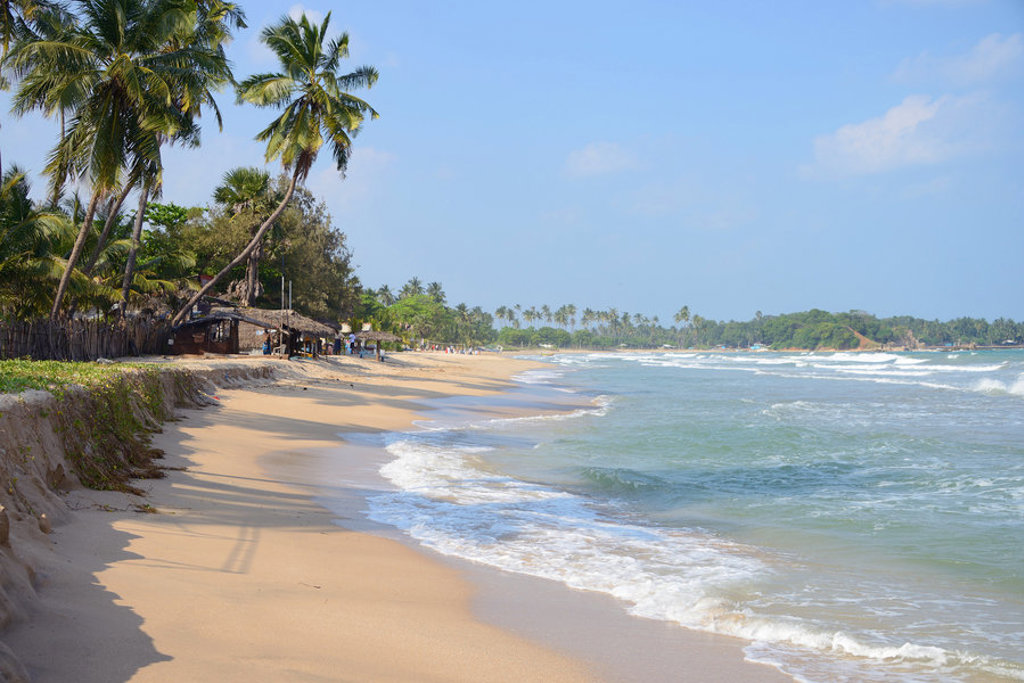 Palmenstrand met goudgeel zand en golven aan de kust van Sri Lanka tijdens een groepsrondreis.