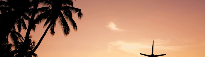 Vliegtuig in silhouet bij zonsondergang met palmbomen, passend bij tips tegen een jetlag.