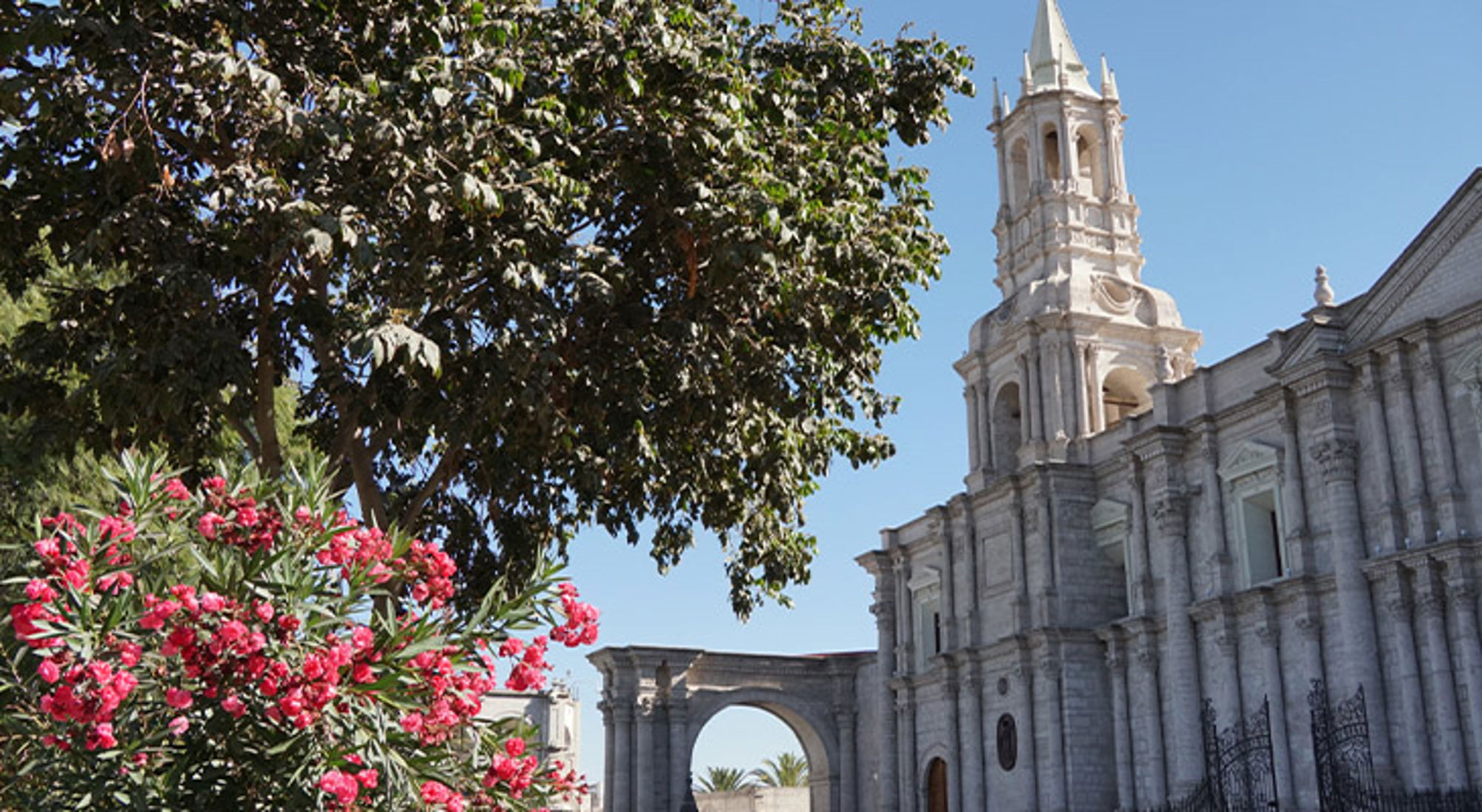 Arequipa Witte kathedraal met klokkentoren naast een boog, met bloeiende oleander en bomen onder een blauwe lucht.