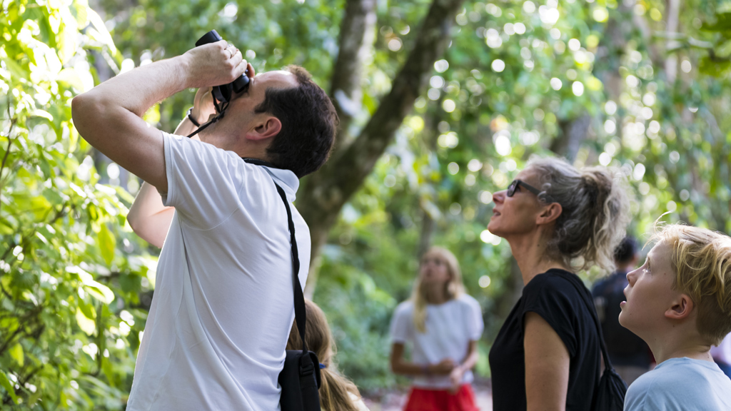 Gezin spot vogels in het regenwoud tijdens een familiereis Costa Rica.