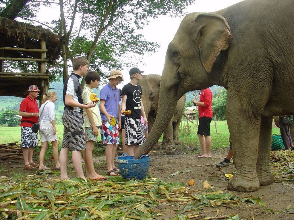 Gezin voert olifanten met fruit tijdens een familiereis Myanmar.