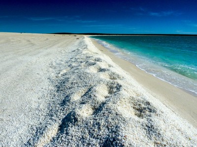 Witte schelpenstrand en turquoise zee aan de kust van West-Australië tijdens de 25-daagse route.