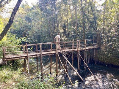 Houten brug over een rivier in het regenwoud van Madagascar, Route Madagascar 19 dagen.