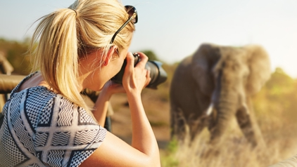 Bekijk wilde dieren vanaf gepaste afstand