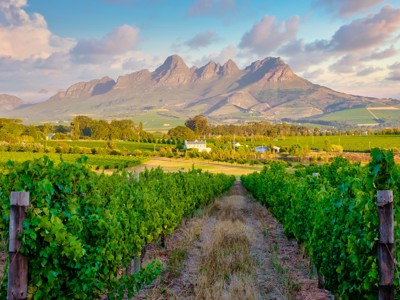 Wijngaarden in Stellenbosch met uitzicht op de Helderberg-bergen langs de Route Zuid-Afrika.