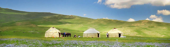 Yurts op groene bergweide in Kirgistan, ideaal voor rondreizen, familiereizen, groepsrondreizen en wandelvakanties.
