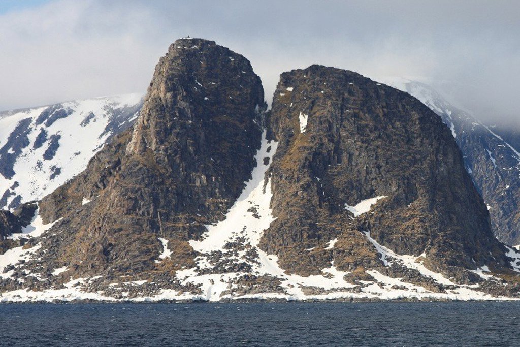 Walrussen rusten op het ijs tijdens een groepsrondreis om Spitsbergen met zeilschip Noorderlicht.