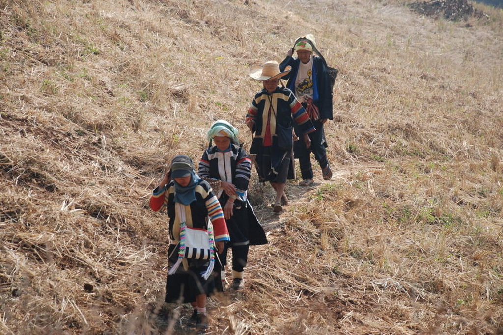 Lokale bewoners wandelen over een pad door het heuvelachtige landschap in Noord-Thailand tijdens een groepsrondreis.