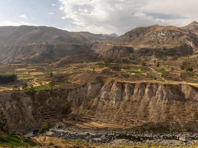 Terrasvormige landbouwvelden in de Colca-vallei in Peru, met bergen op de achtergrond.