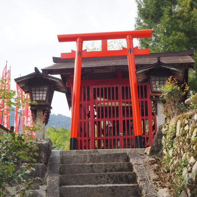 Rode torii-poort bij een Japanse schrijn langs een stenen trap, tijdens een groepsrondreis Japan.