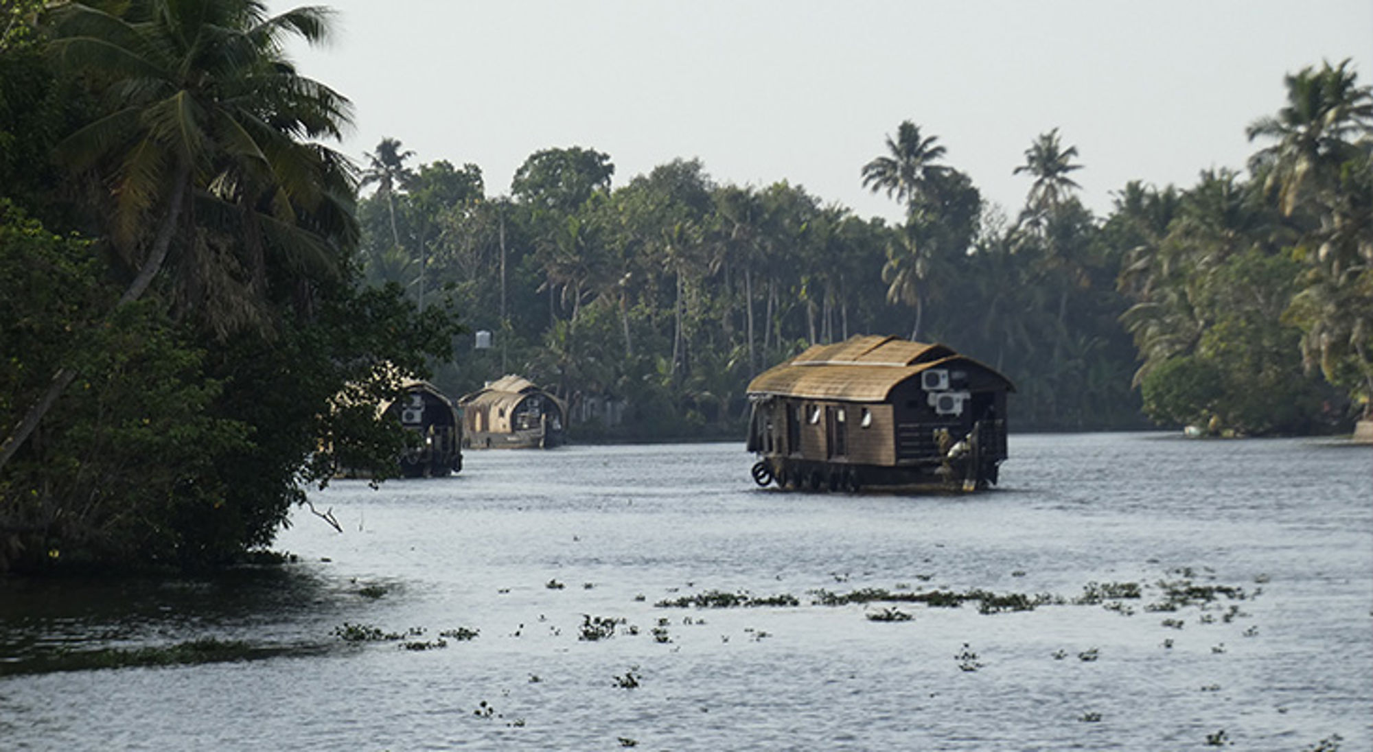 Backwaters Zuid-India Woonboten op een rustige rivier met palmbomen langs de oever.