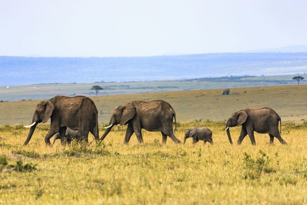 Landschap tijdens groepsrondreis Kenia en Tanzania, 12 dagen.