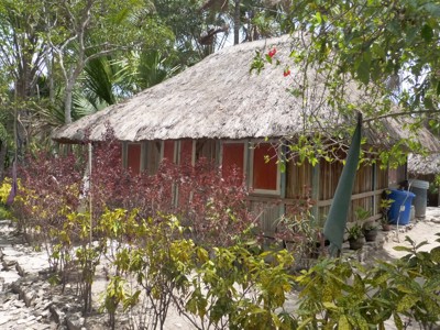 Traditioneel huis met rieten dak tussen tropische begroeiing op Timor tijdens de route Timor, Sumba & Bali.