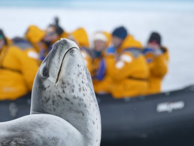 Zeehond op het ijs met zodiac en expeditiegangers op de achtergrond tijdens Route Antarctica: Crossing the Circle.