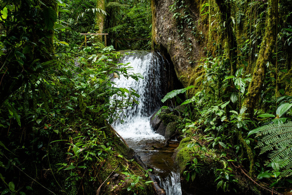 Waterval in weelderig regenwoud tijdens groepsrondreis Nicaragua en Costa Rica.