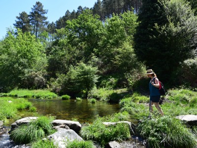 Wandelaar steekt een beek over in het groene boslandschap van de Douro Vallei, Portugal.