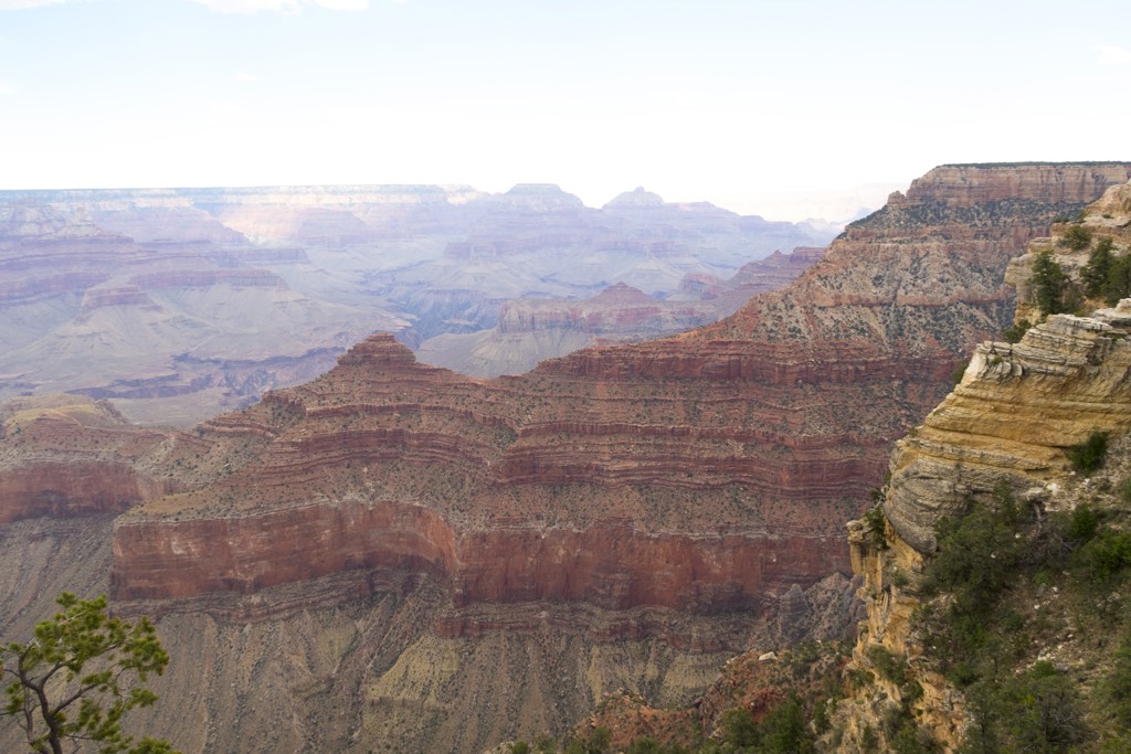 Uitzicht over de Grand Canyon in de Verenigde Staten tijdens een familiereis met kamperen en hotels.