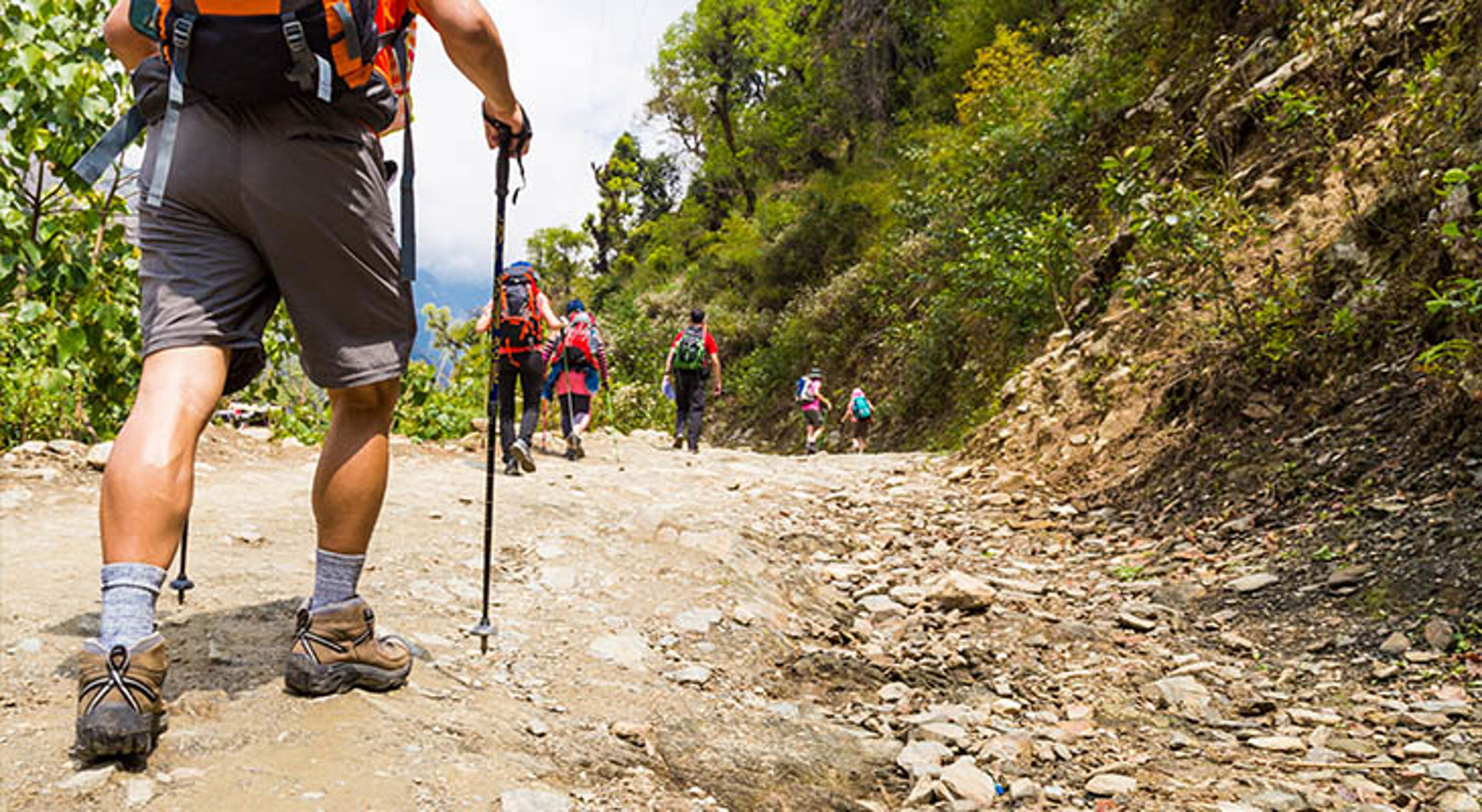 Wandelstokken Wandelaars met rugzakken lopen over een bergpad tijdens een trekking.