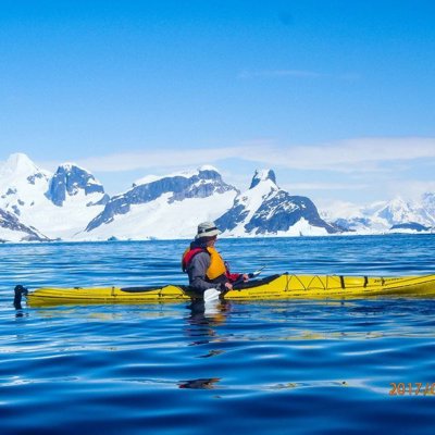 Kolonie koningspinguïns op South Georgia tijdens groepsrondreis Antarctica, Falklands en South Georgia.