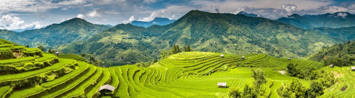 Groene rijstterrassen en berglandschap in Vietnam tijdens een groepsrondreis.