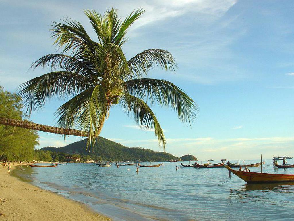 Palmenstrand in Thailand met longtailboten op zee, passend bij familiereis Thailand Noord en Zuid.