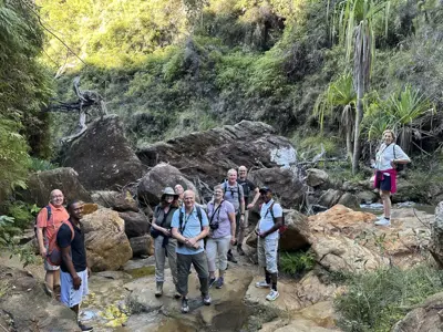 Reisgroep wandelt door rotsachtige kloof met beekje in groen landschap op Madagascar.