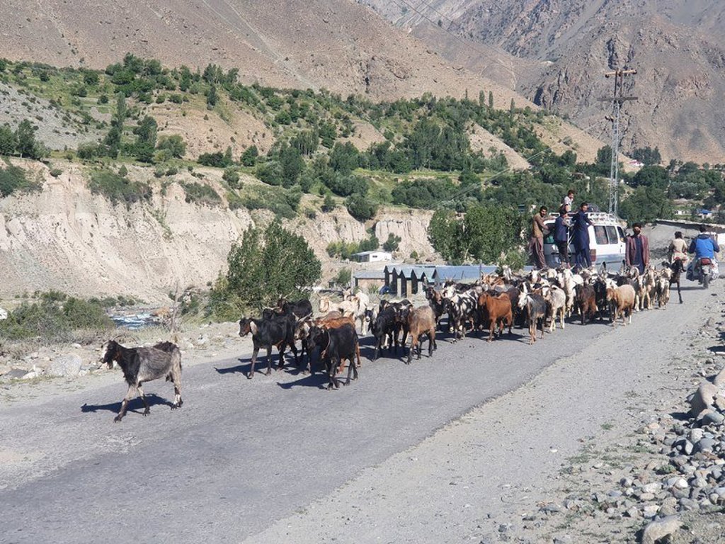 Panorama van het Hunza-dal in Baltistan, Pakistan, met besneeuwde bergtoppen en groene terrassen.